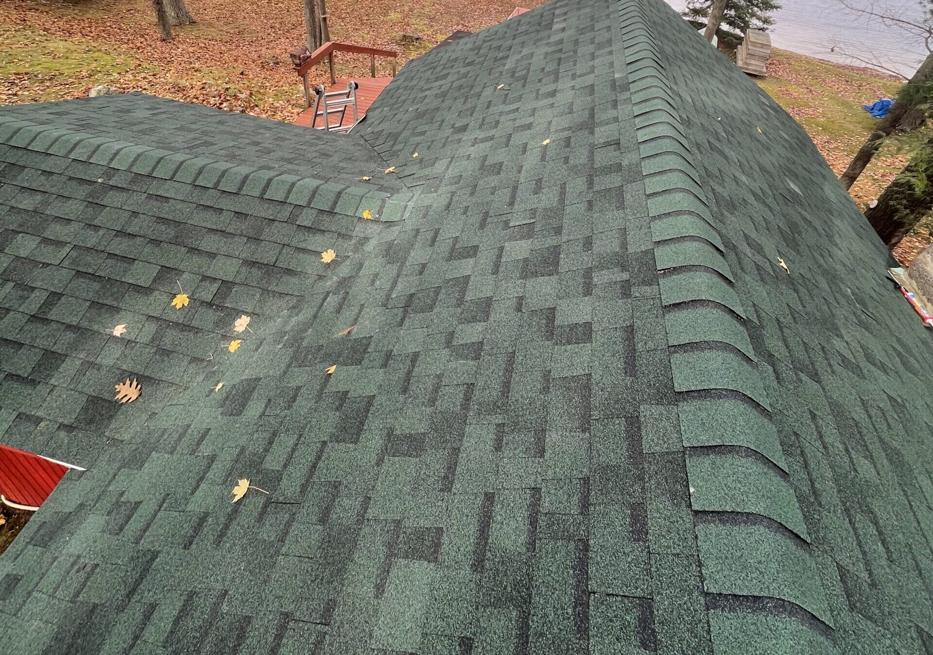green, new asphalt shingles